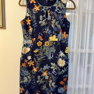 Lands End Floral Petite Dress